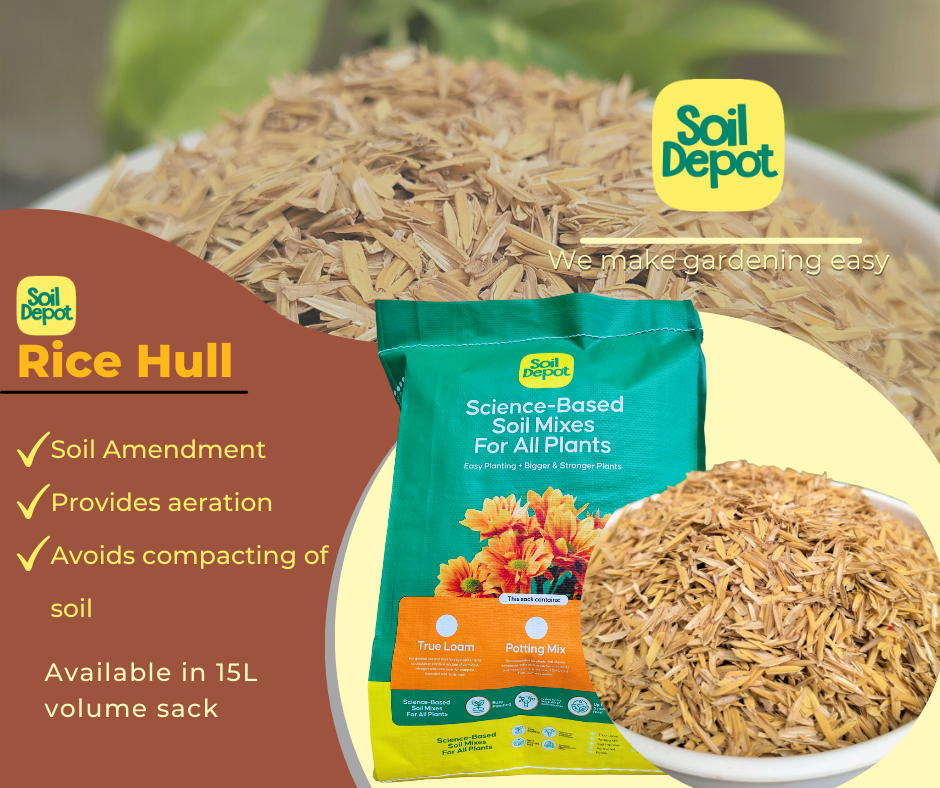 rice hull potting mix Rice Hull – Soil Depot