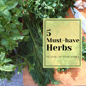 5 Must-Have Herbs to Level up your Dishes