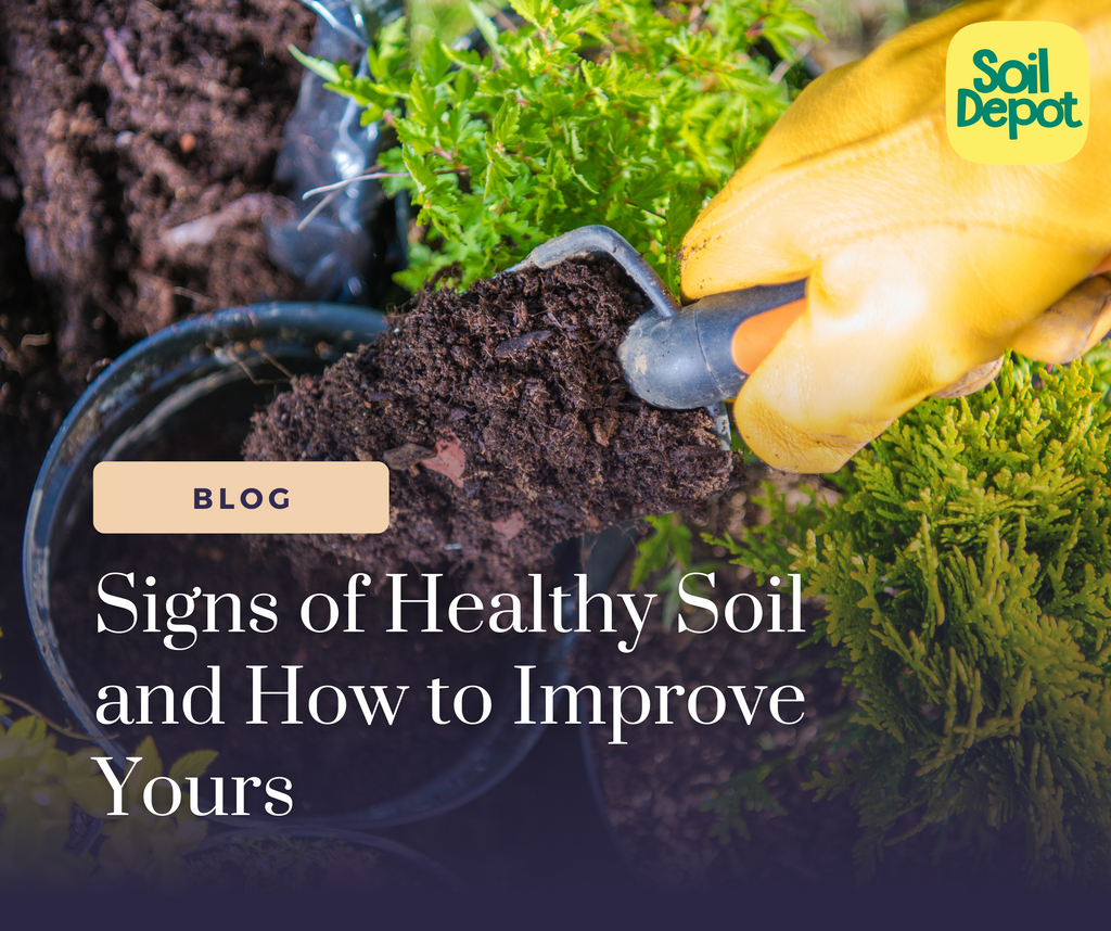 Signs of Healthy Soil and How to Improve Yours