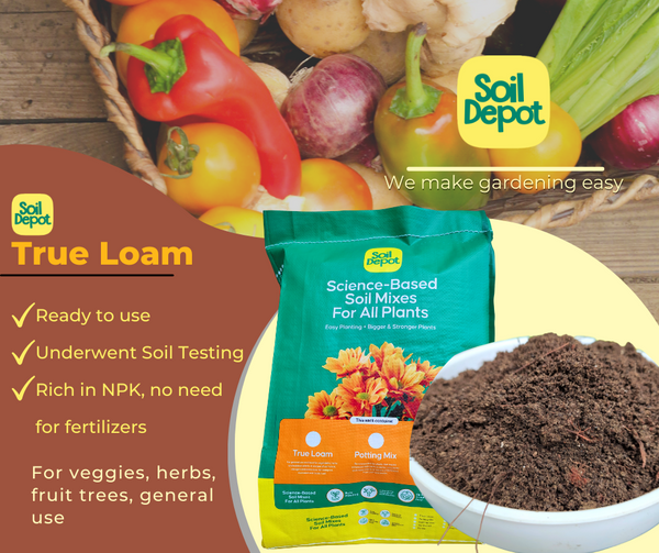 loam potting soil mix 01 Soil Depot True Loam