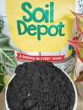 Carbonized Rice Hull (CRH)
