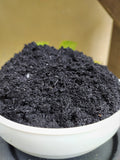 Carbonized Rice Hull (CRH)